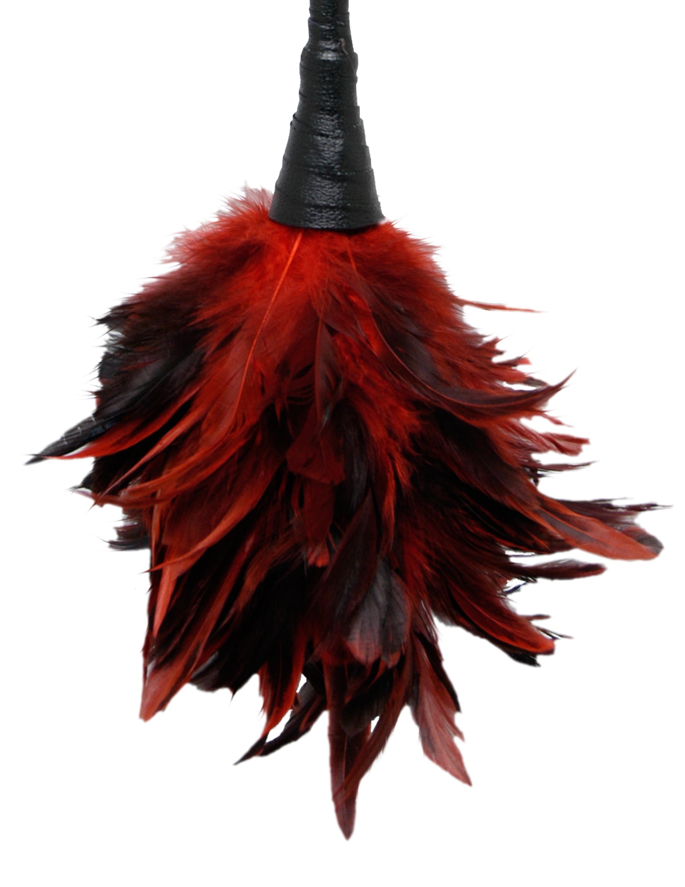 Fetish Fantasy Series Frisky Feather Duster